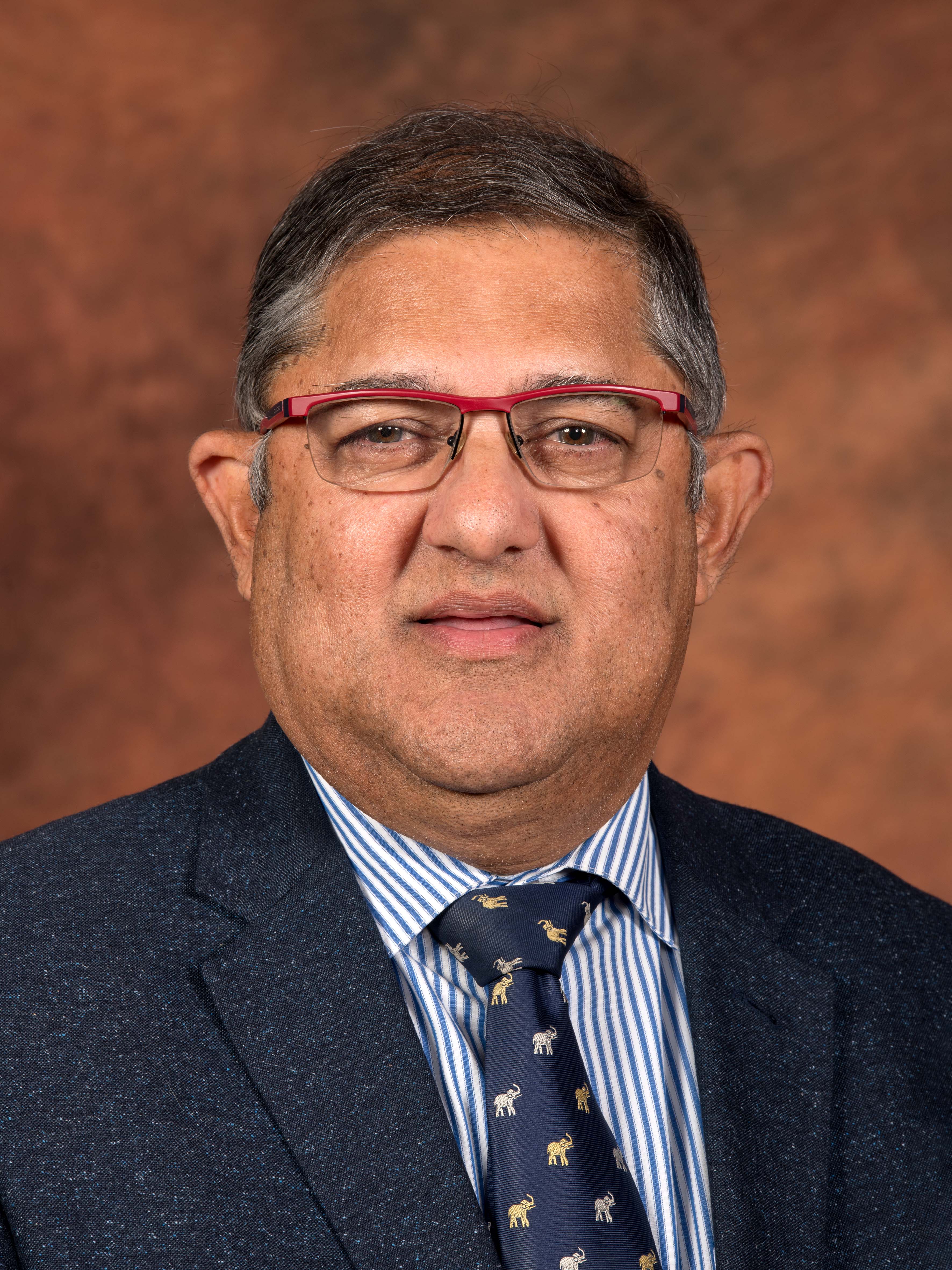 Remarks By Deputy Minister Narend Singh At The Municipal Just Energy remarks-by-deputy-minister-narend-singh-at-the-municipal-just-energy
